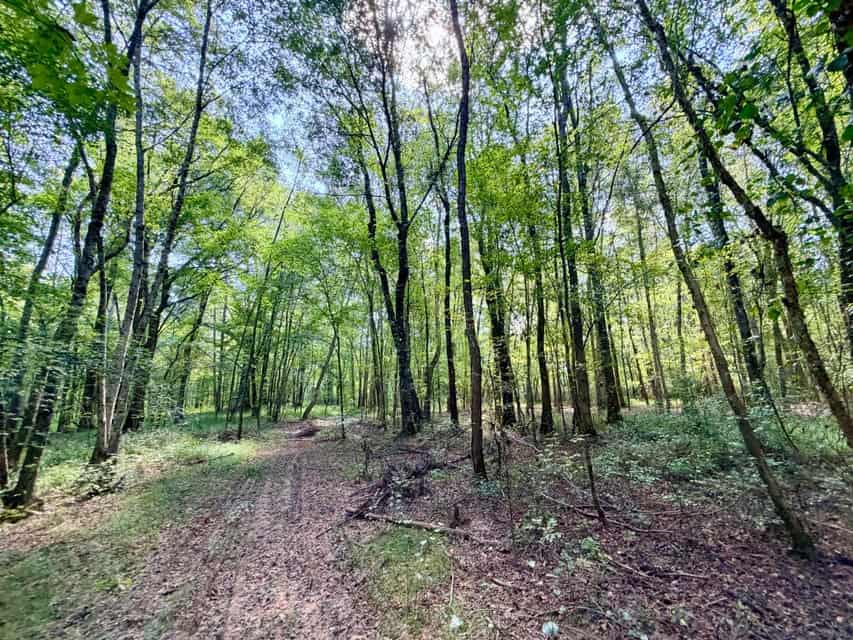 Bear Creek Hunting Land in Tishomingo County, MS