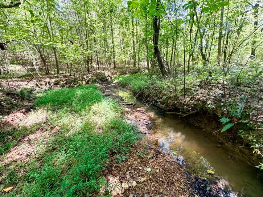 Bear Creek Hunting Land in Tishomingo County, MS