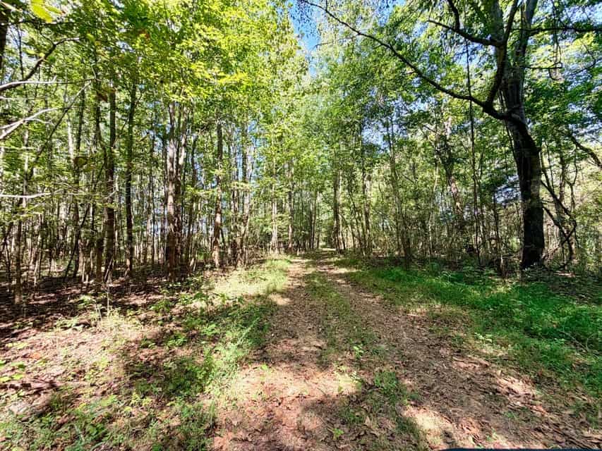 Bear Creek Hunting Land in Tishomingo County, MS