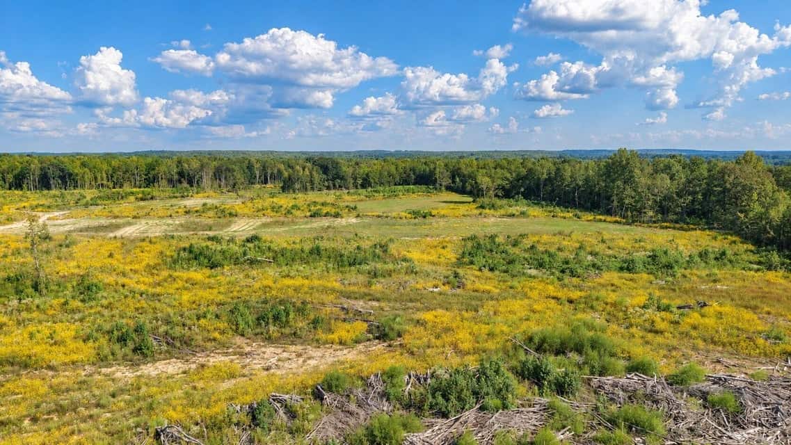 Bear Creek Hunting Land in Tishomingo County, MS