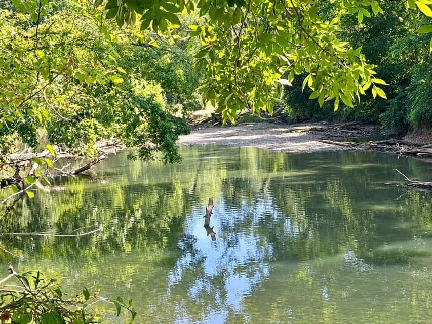 Bear Creek Hunting Land in Tishomingo County, MS