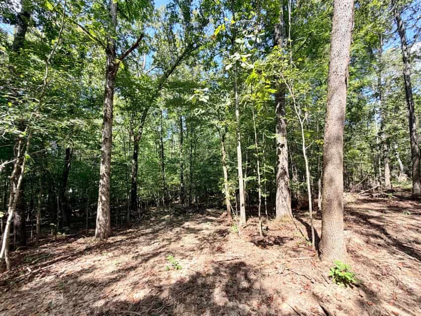 Bear Creek Hunting Land in Tishomingo County, MS