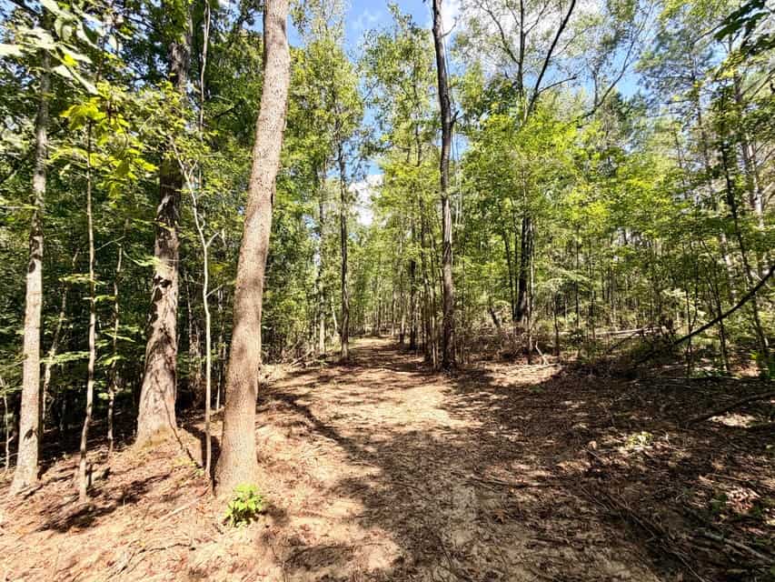 Bear Creek Hunting Land in Tishomingo County, MS