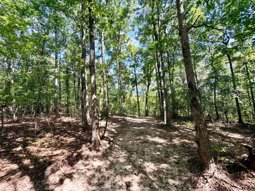 Bear Creek Hunting Land in Tishomingo County, MS