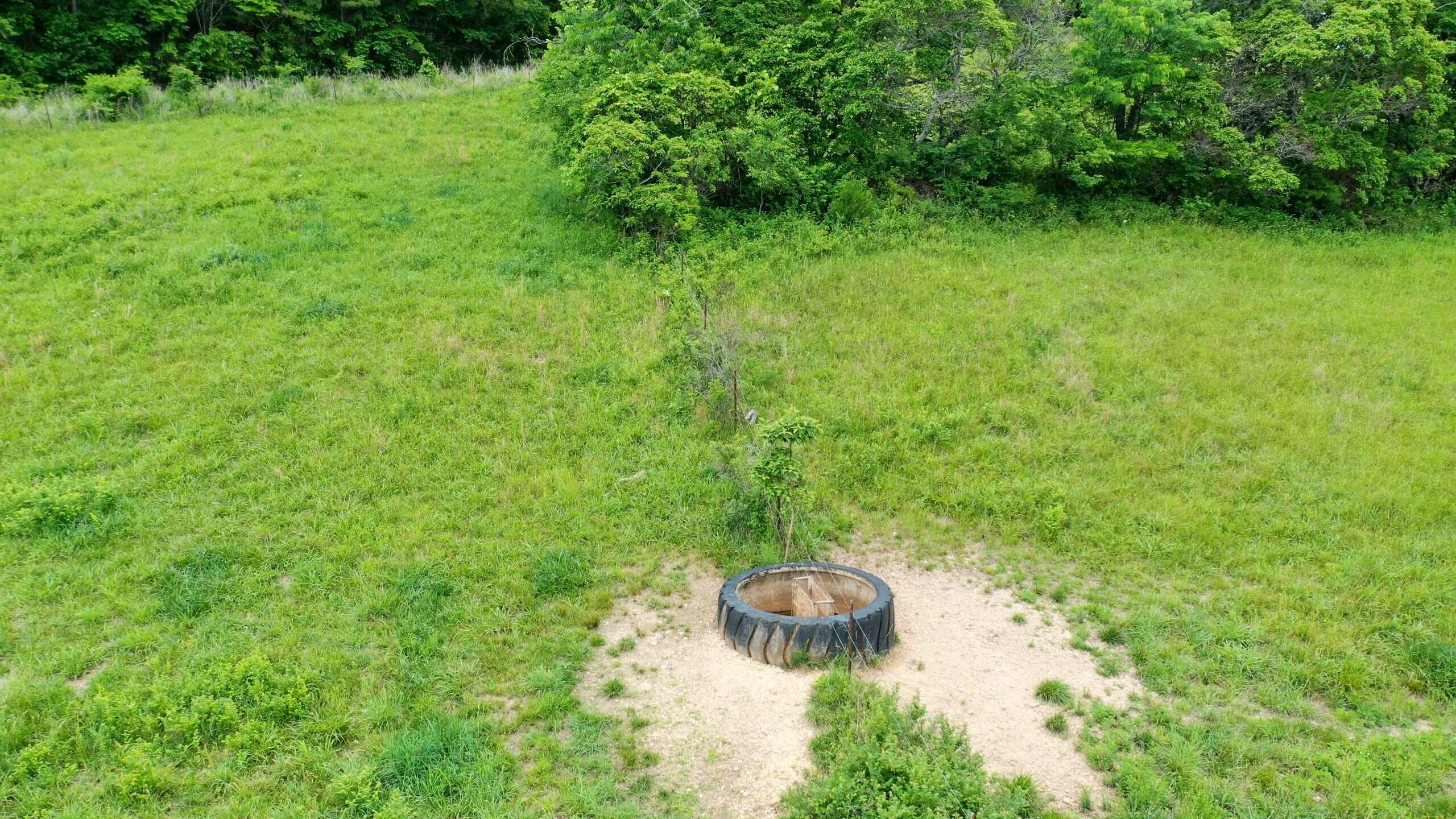 473 ± Acre Ozark Farm for Sale Near Salem, Missouri