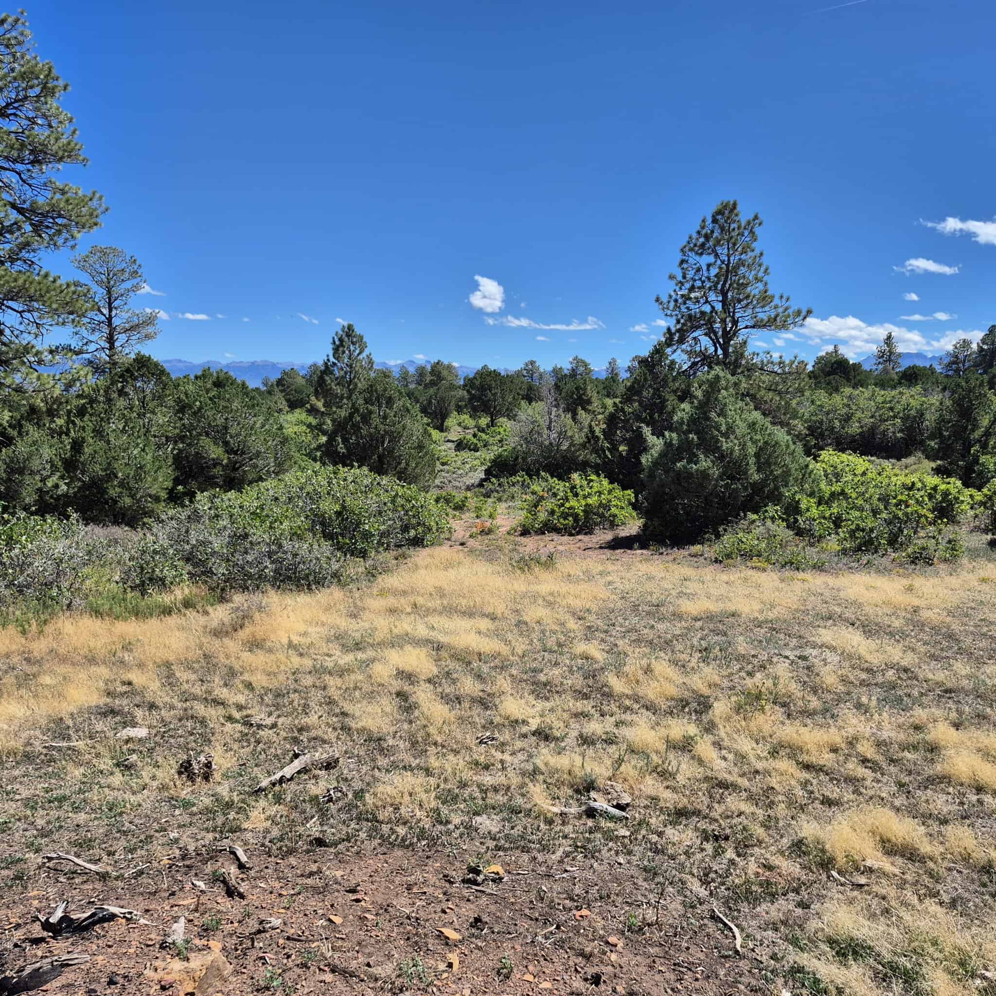 Colorado Hunting Land For Sale