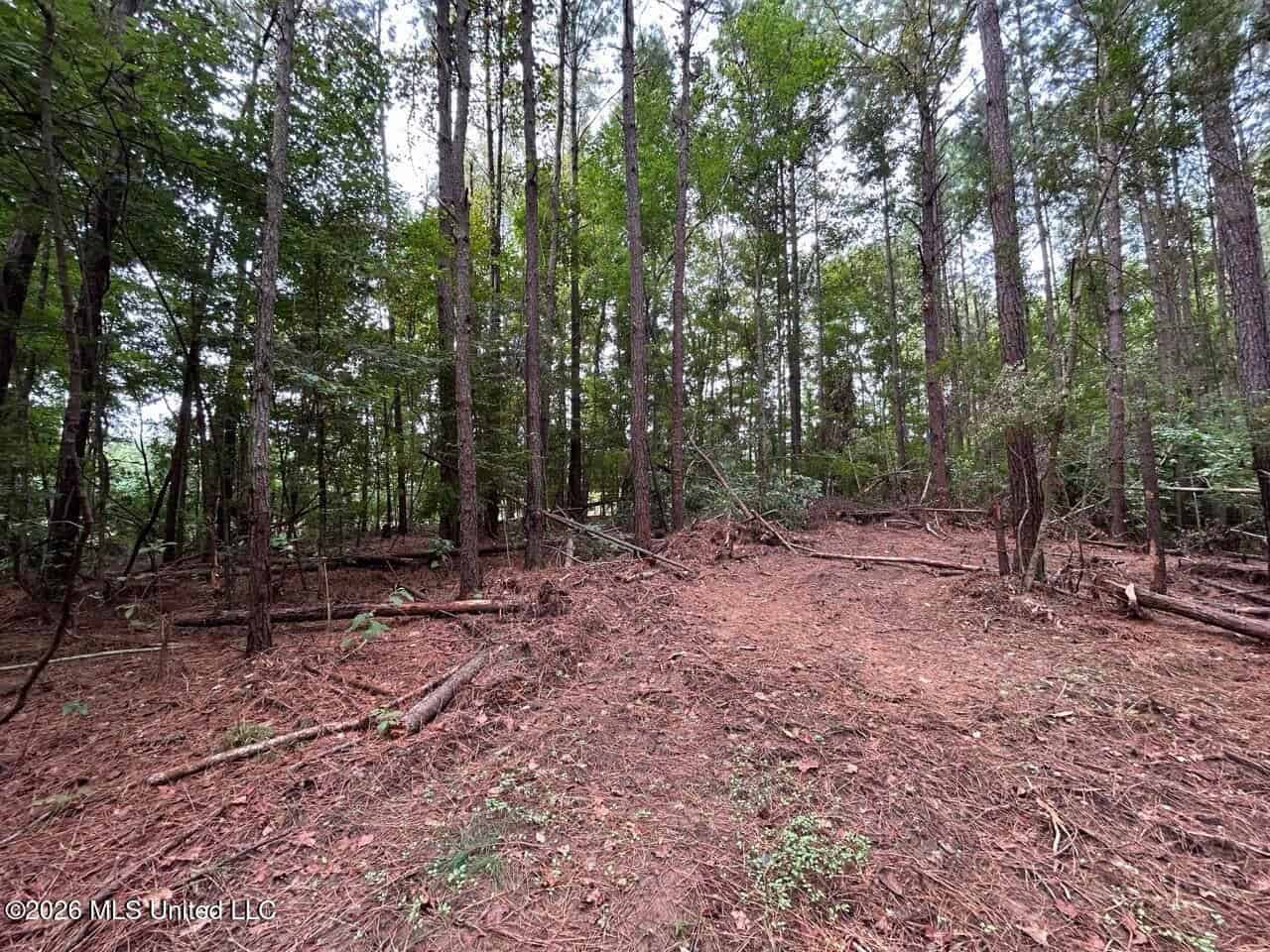 25± Acre Hunting & Homesite Tract in Centreville, MS