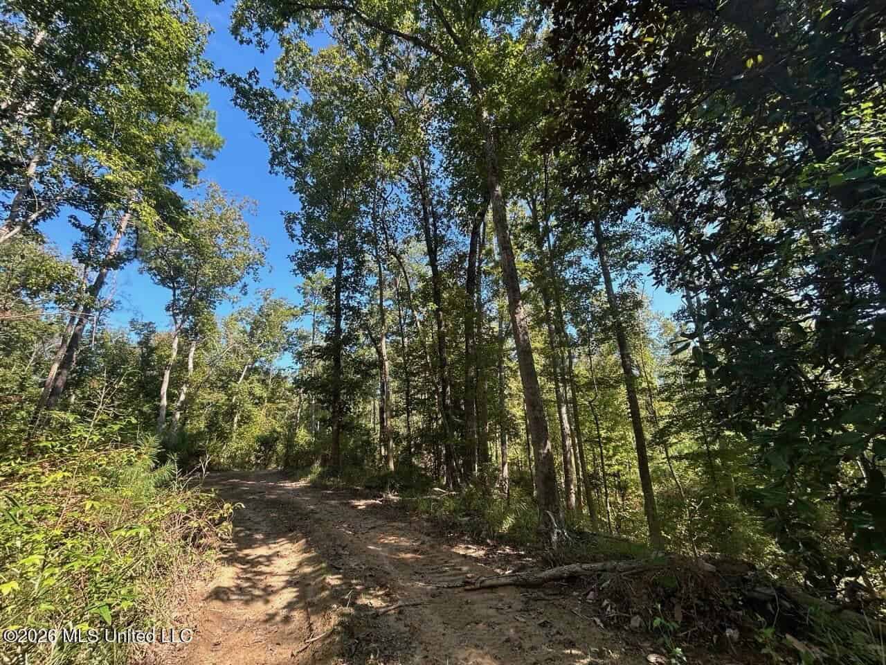 45± Acre Hunting Property in Franklin County, MS