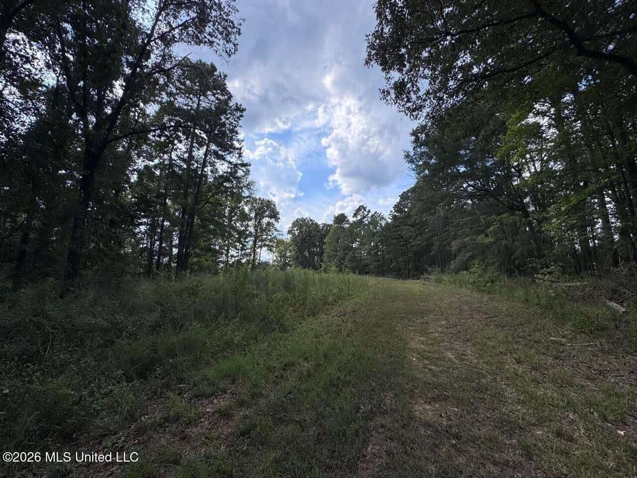 200± Acre Hunting Property in Jefferson County, MS