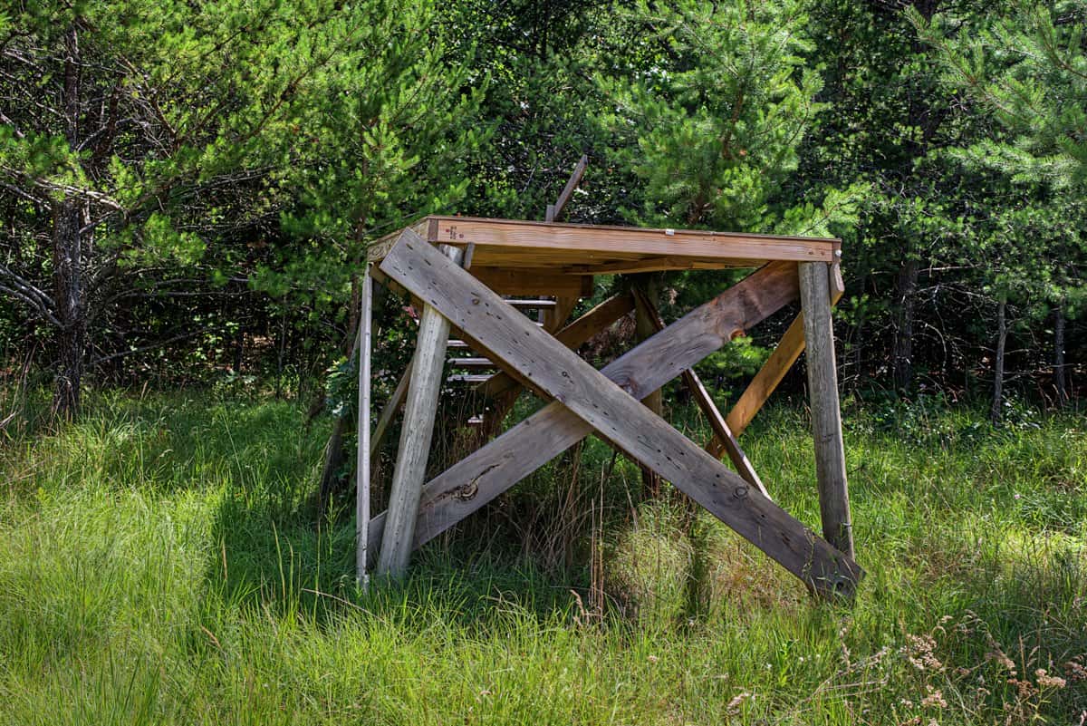 117± Acres of Irrigated Farmland and Trophy Whitetail Habitat — Adams County, Wisconsin