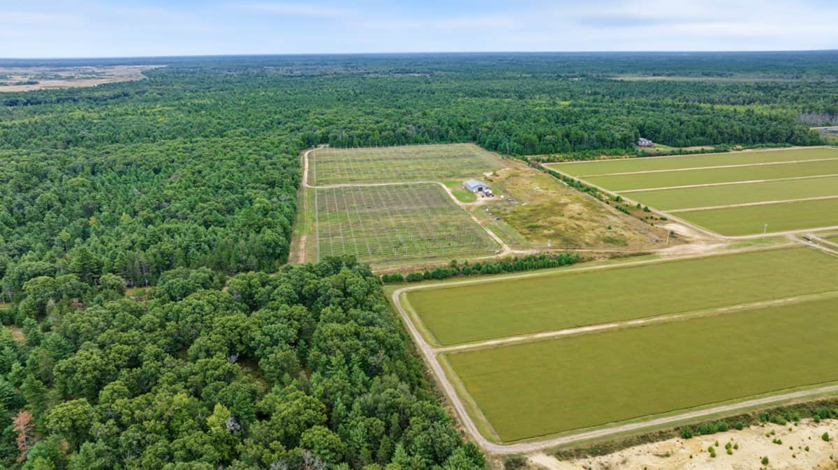 34.5± acre high-ground property in the Town of Bear Bluff