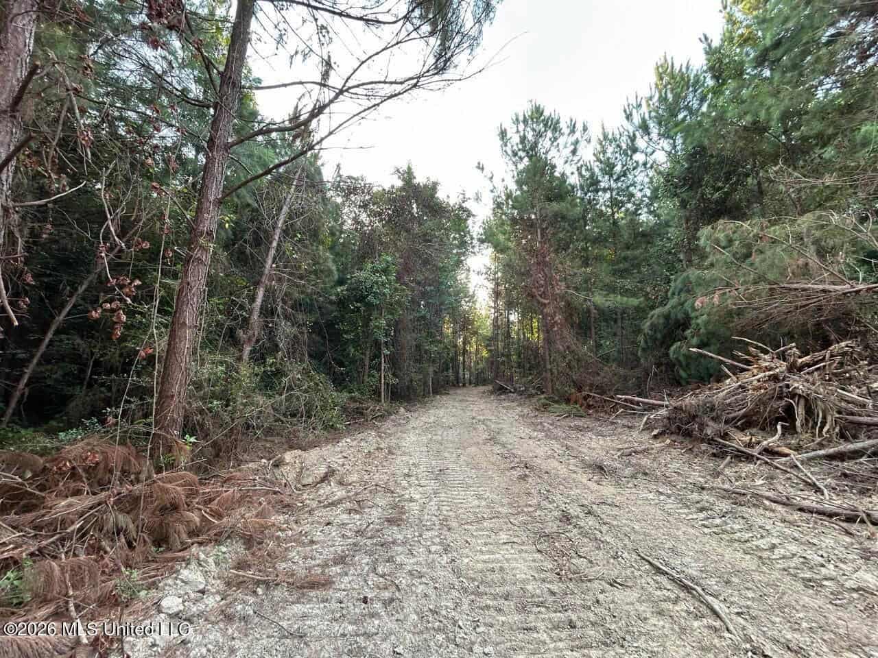 80± Acre Riverfront Hunting Land Near Meadville, MS