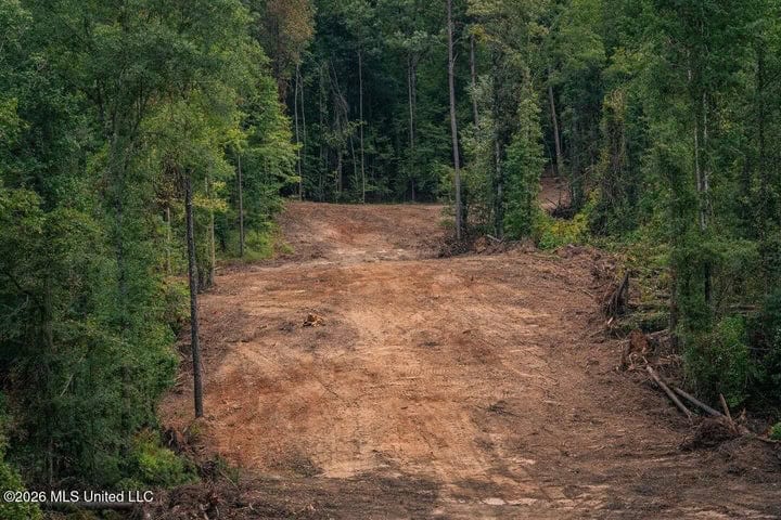 36± Acre Hunting Property Near Bude, MS