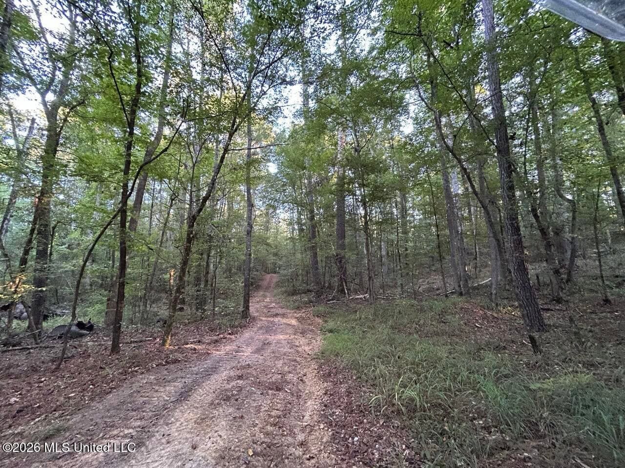 210+/- Acres and Cabin in Franklin County, MS