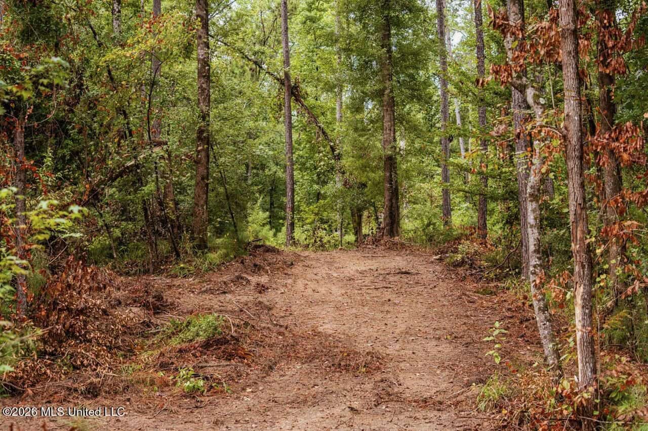13± Acres by Homochitto National Forest Near Meadville, MS