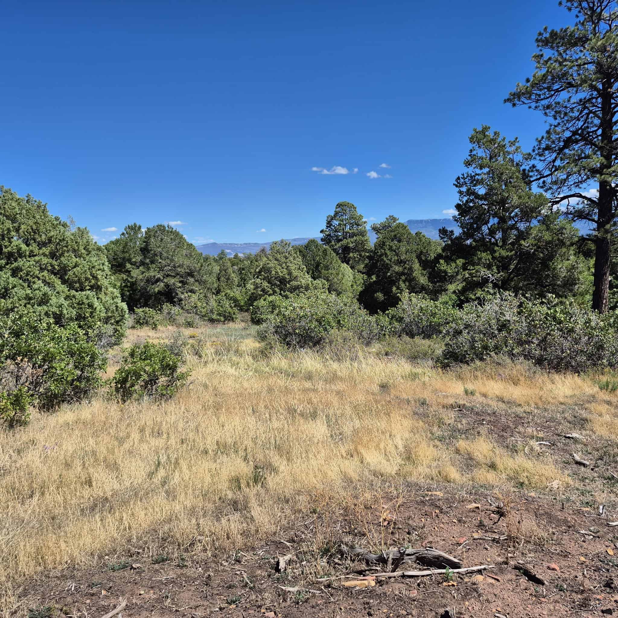 Colorado Hunting Land For Sale