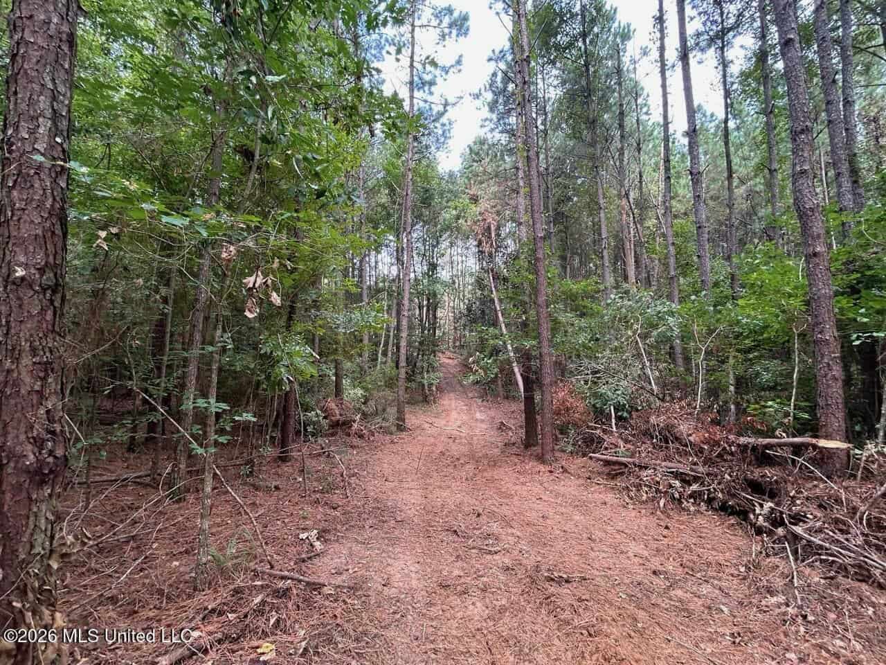 25± Acre Hunting & Homesite Tract in Centreville, MS