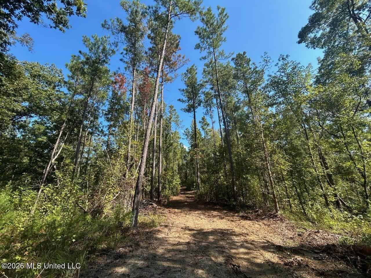 45± Acre Hunting Property in Franklin County, MS