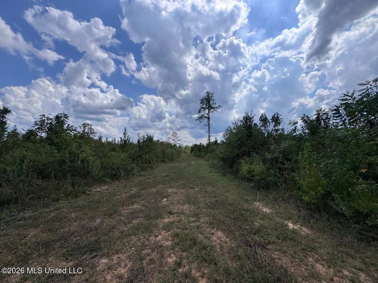 200± Acre Hunting Property in Jefferson County, MS