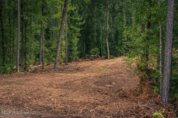 36± Acre Hunting Property Near Bude, MS