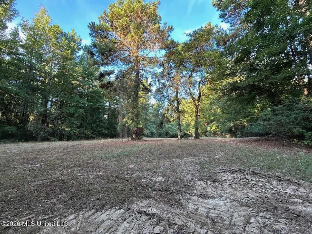 210+/- Acres and Cabin in Franklin County, MS