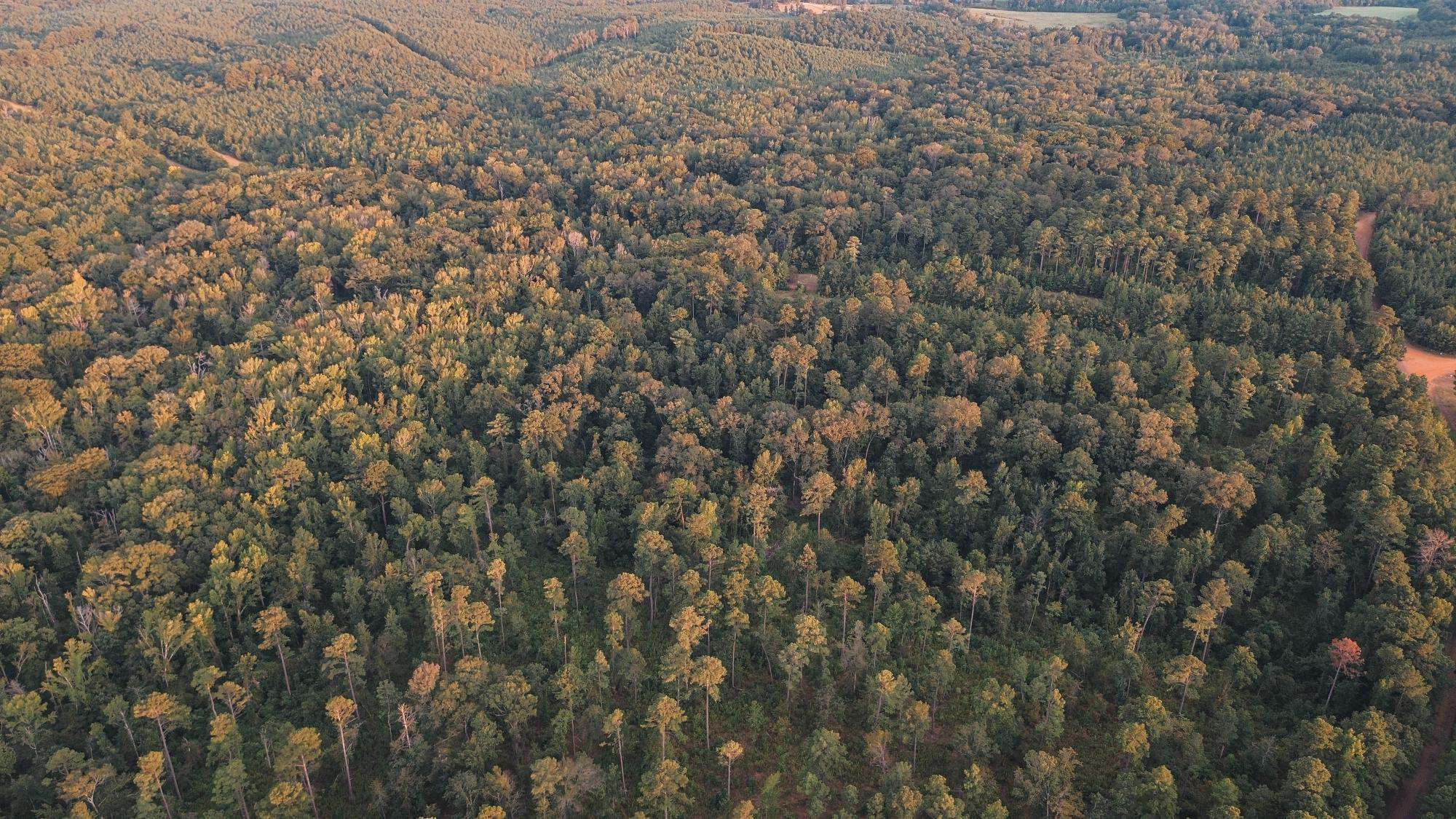 Affordable Union Parish Land for Sale