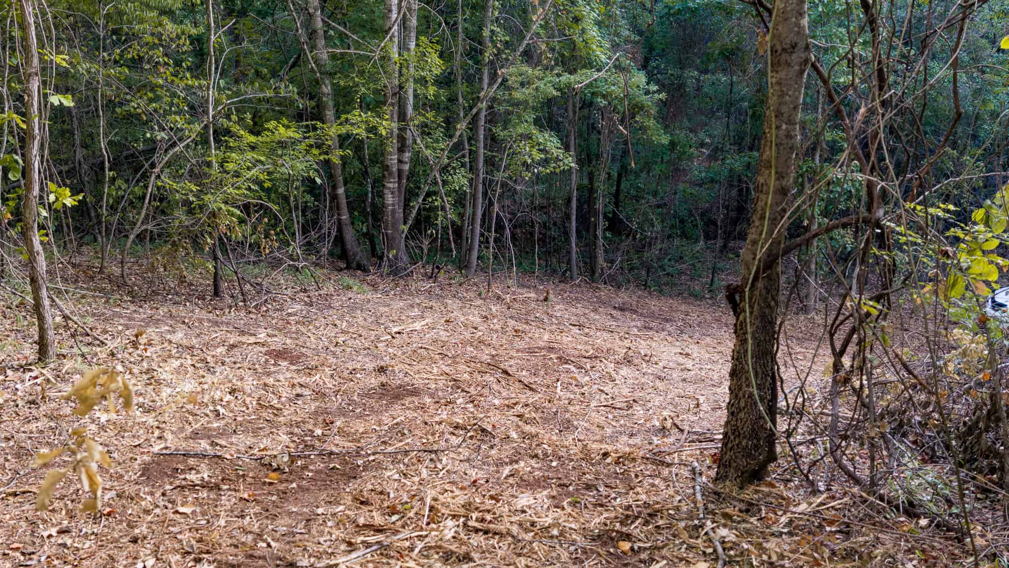 Tyler Texas Hunting Property for Sale 141 ± Acres East of Dallas