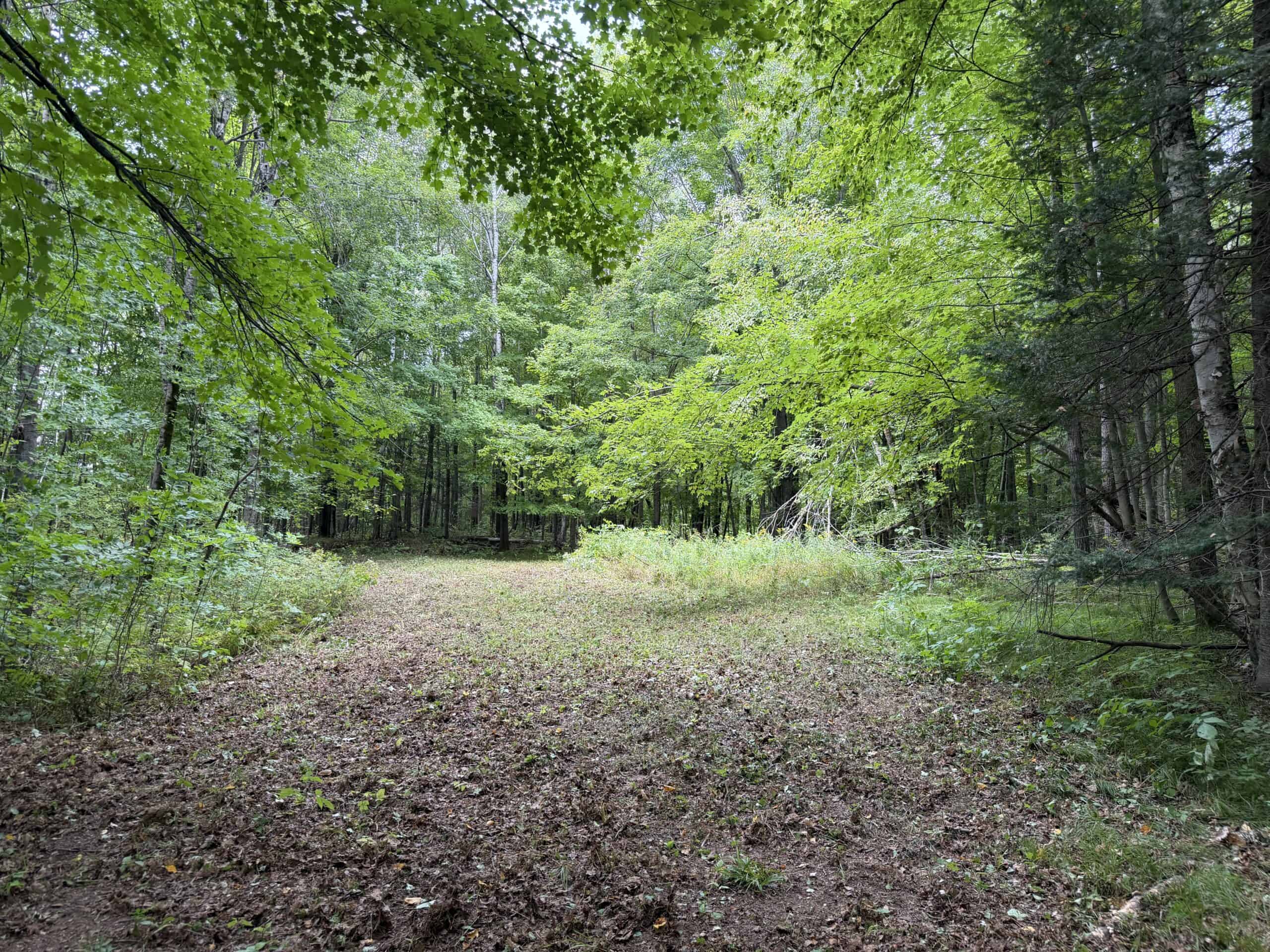 37.5± Acres with Off-Grid Cabin – Taylor County, Wisconsin