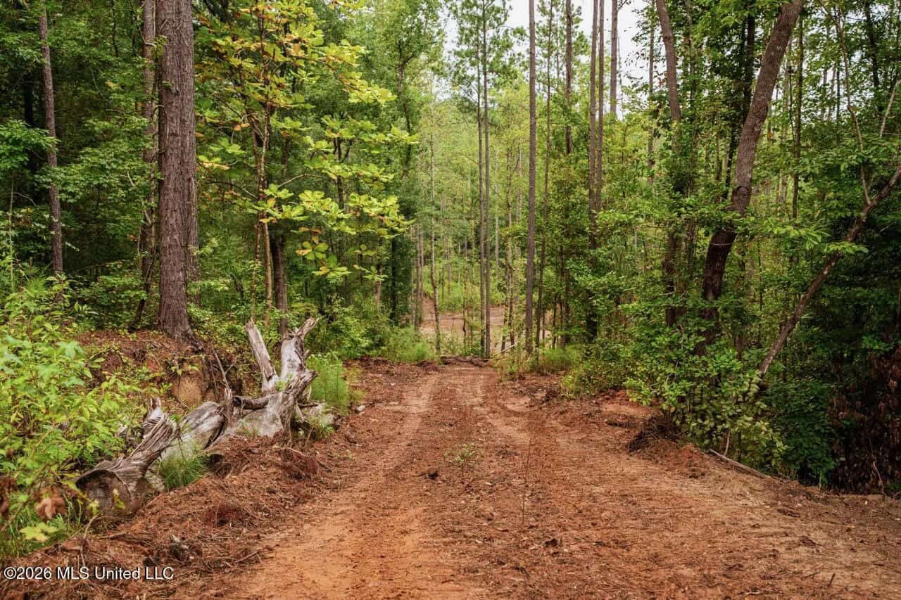 13± Acres by Homochitto National Forest Near Meadville, MS