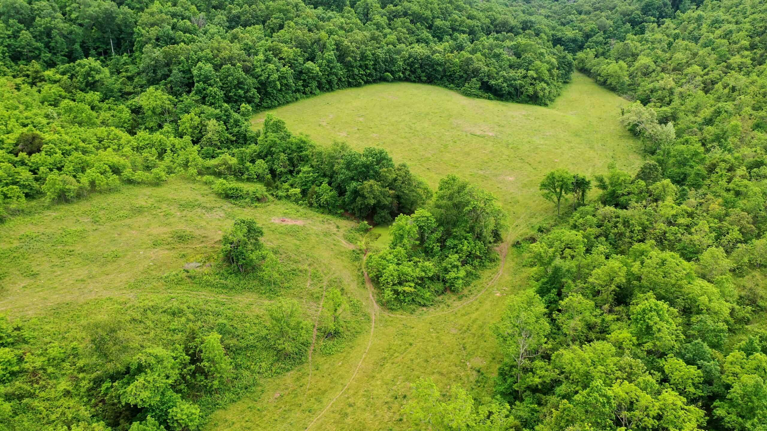 473 ± Acre Ozark Farm for Sale Near Salem, Missouri