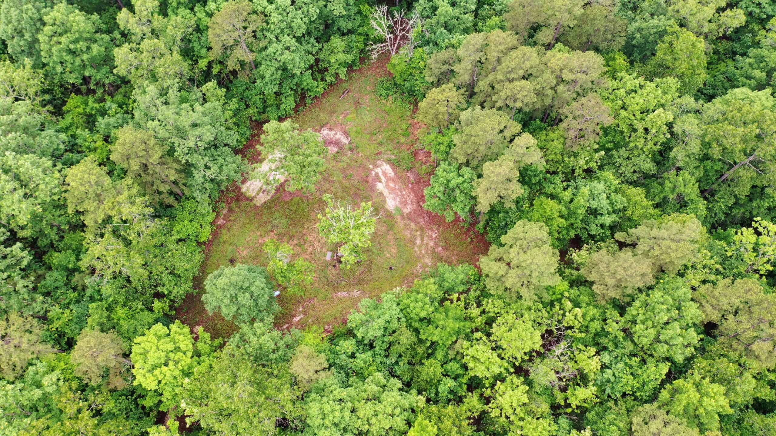 46.12 ± Acre Hunting Land for Sale in the Missouri Ozarks