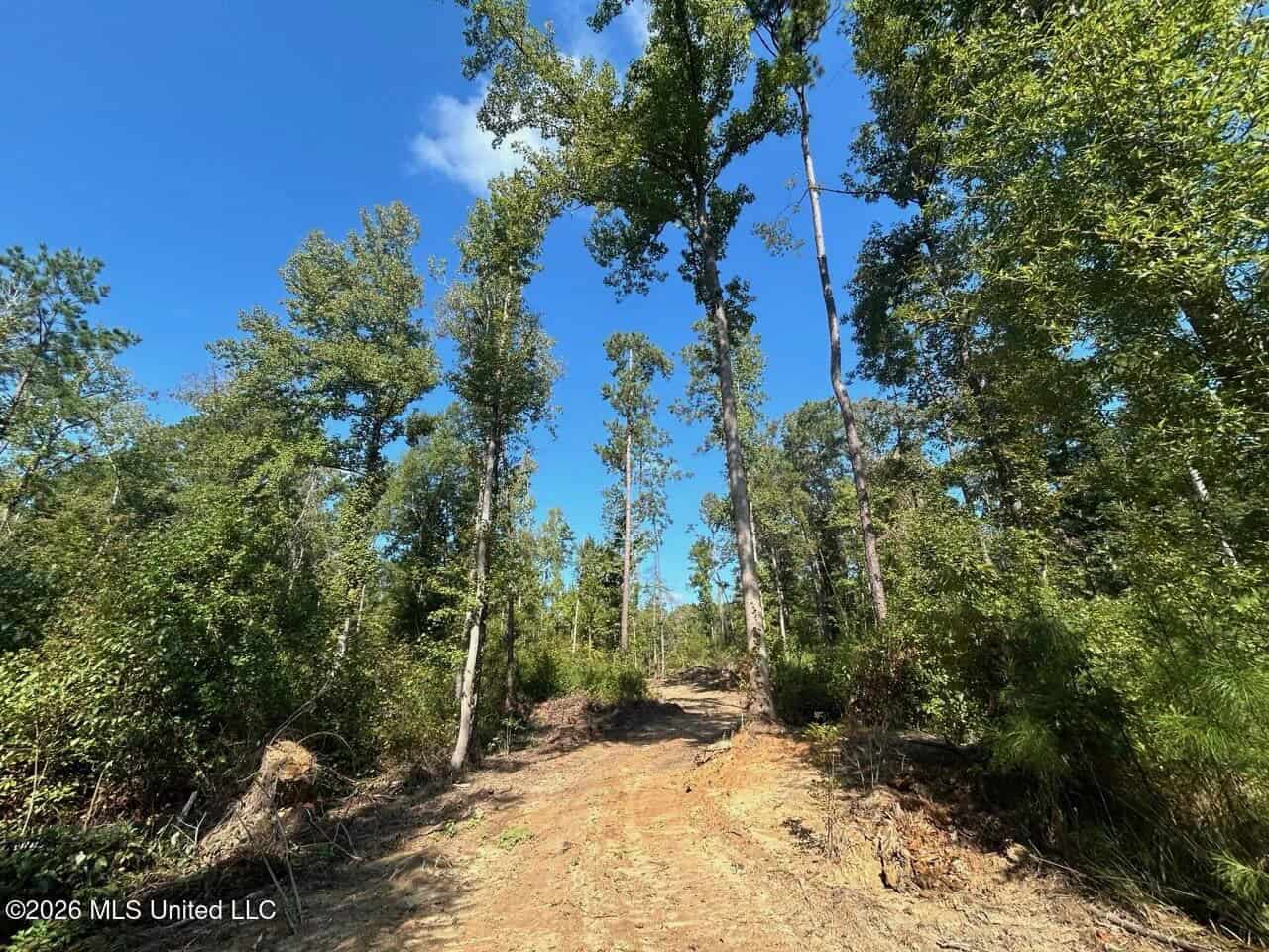 45± Acre Hunting Property in Franklin County, MS