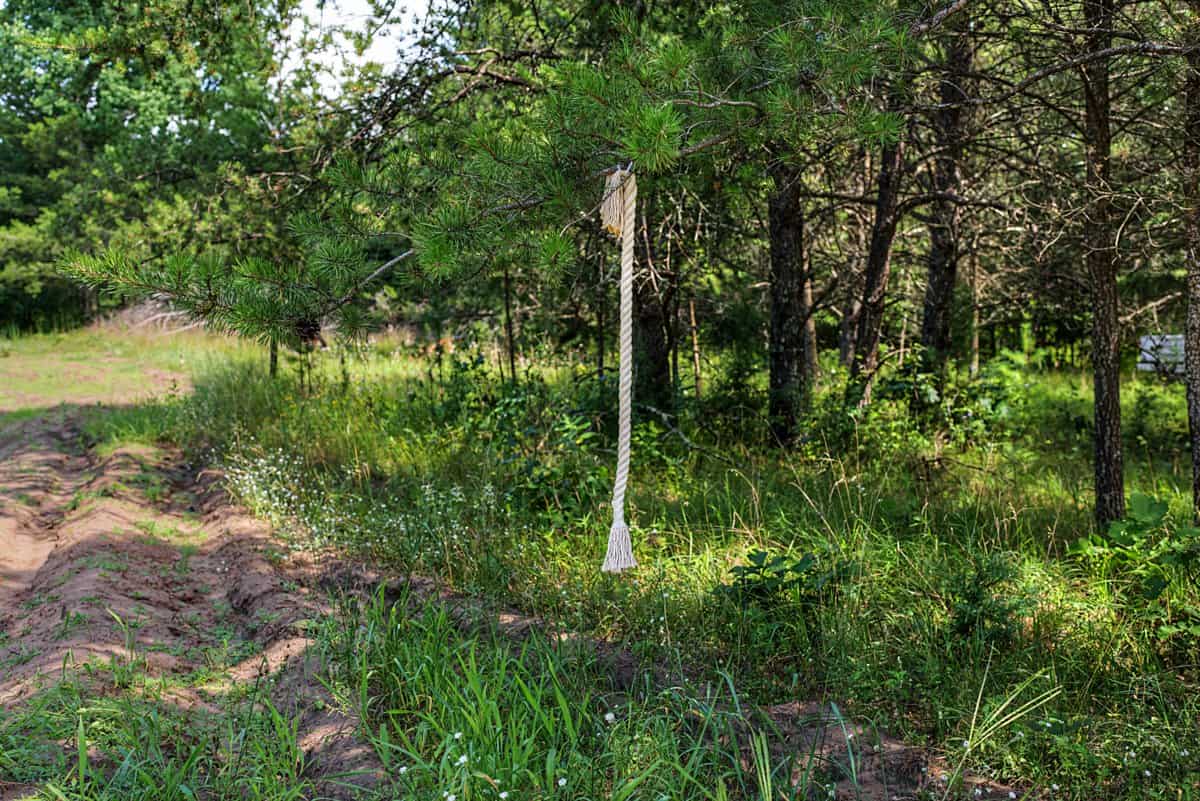 117± Acres of Irrigated Farmland and Trophy Whitetail Habitat — Adams County, Wisconsin