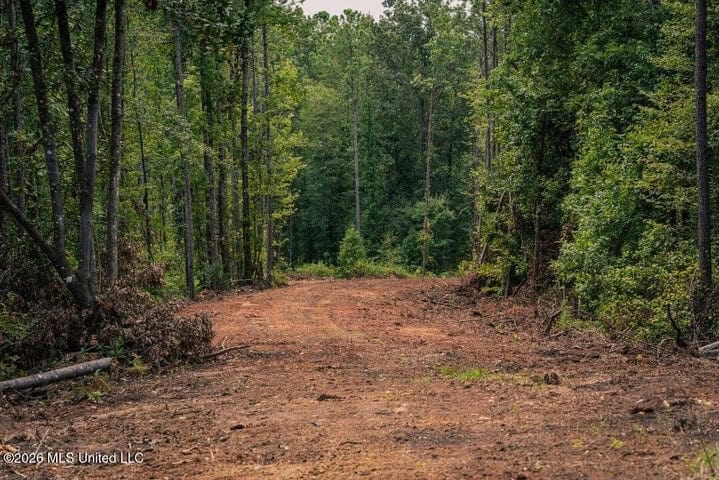 36± Acre Hunting Property Near Bude, MS
