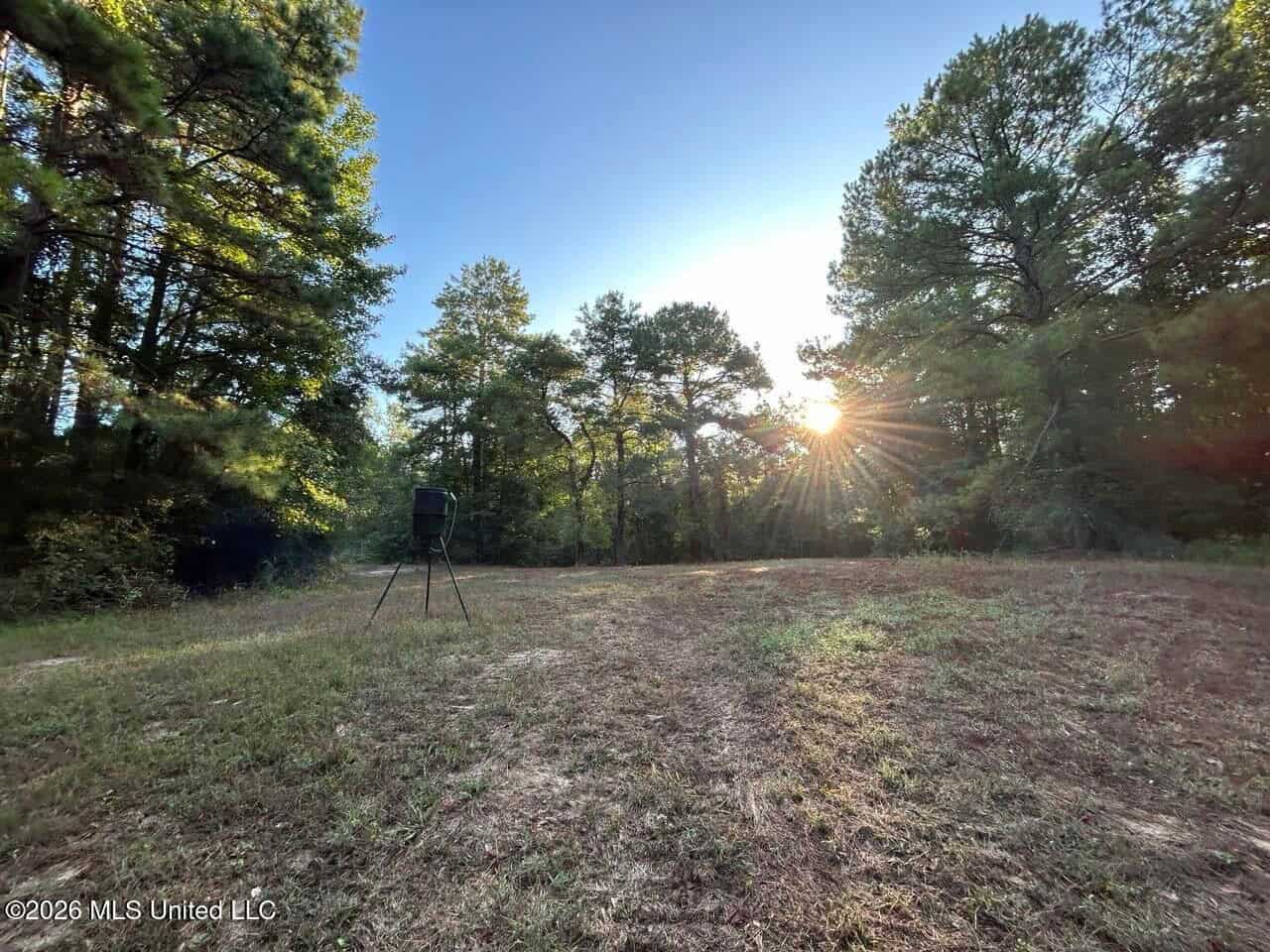 210+/- Acres and Cabin in Franklin County, MS