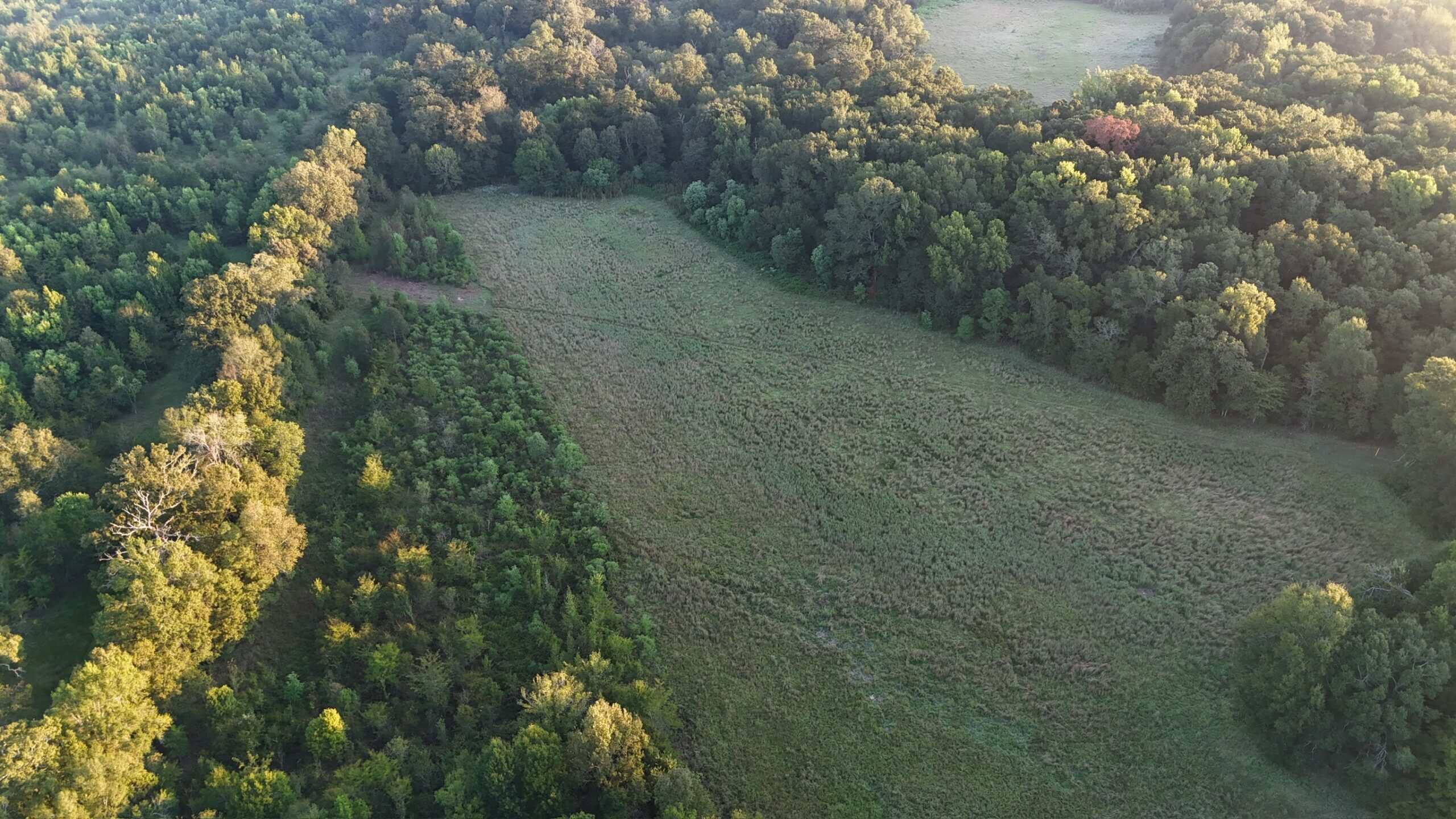 80 Ac Home, Hunting & Cattle Land in Franklin Parish LA