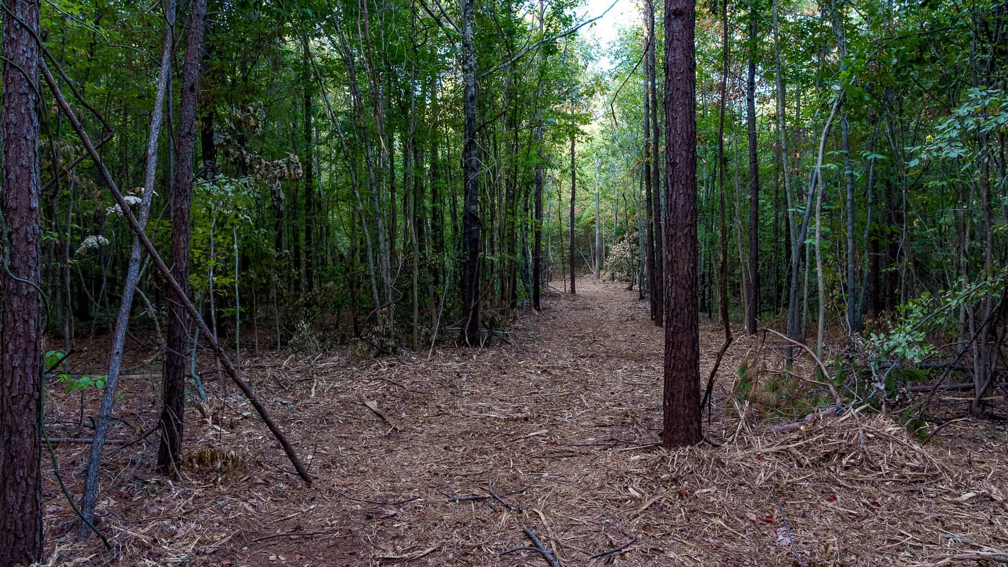 Tyler Texas Hunting Property for Sale 141 ± Acres East of Dallas