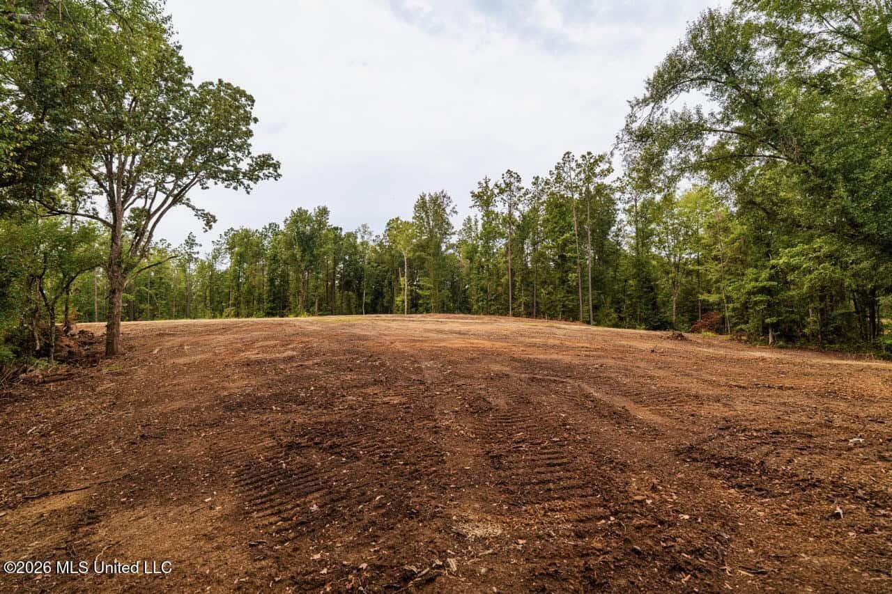 13± Acres by Homochitto National Forest Near Meadville, MS
