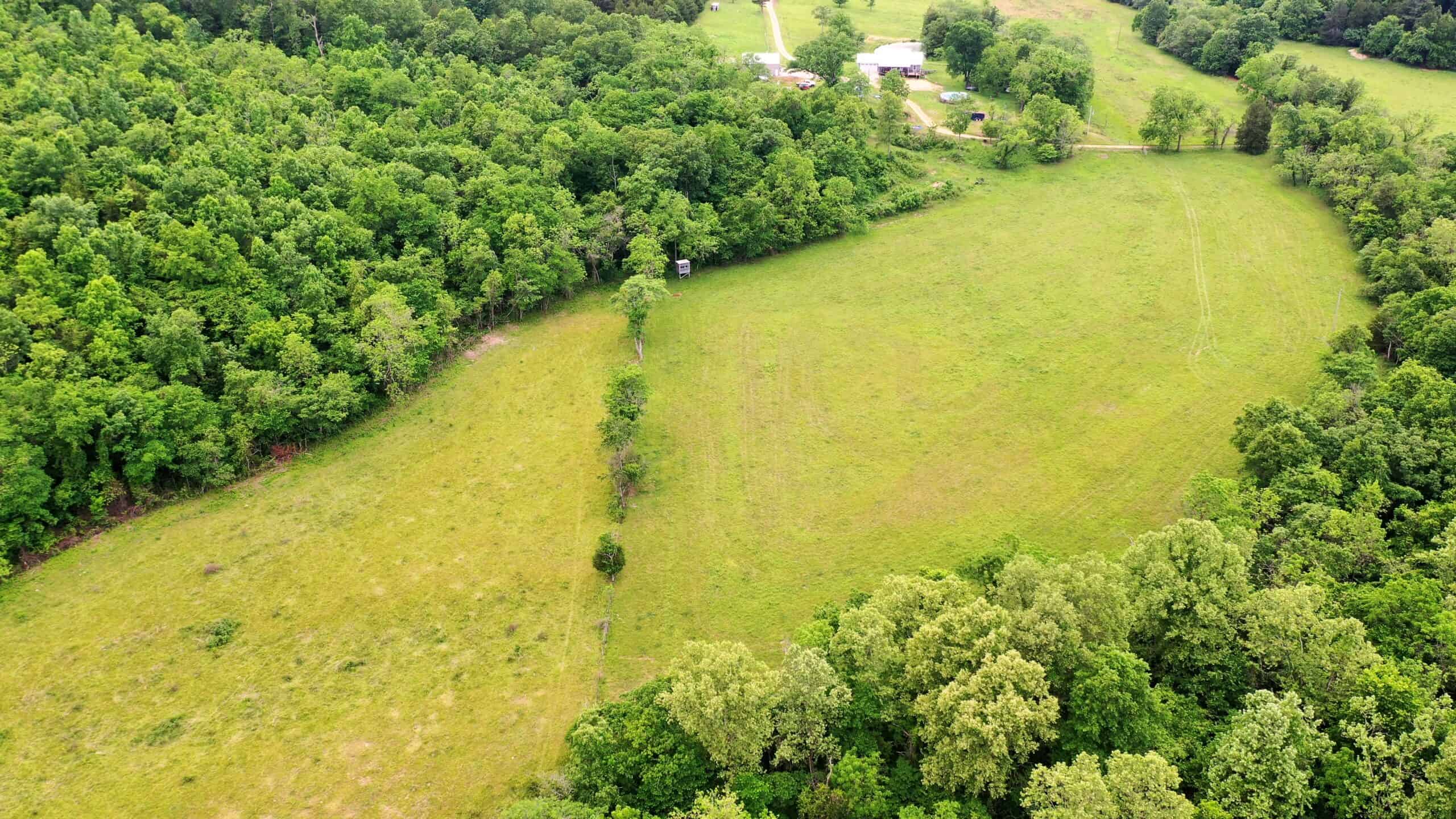 473 ± Acre Ozark Farm for Sale Near Salem, Missouri
