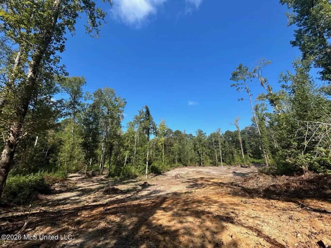 45± Acre Hunting Property in Franklin County, MS