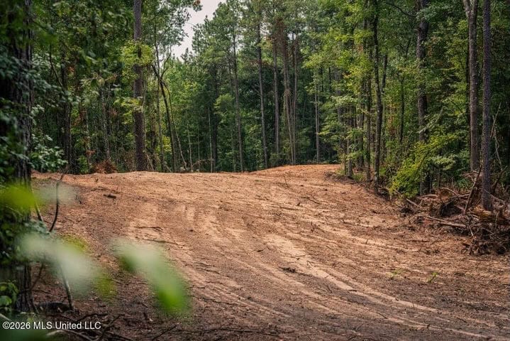 36± Acre Hunting Property Near Bude, MS