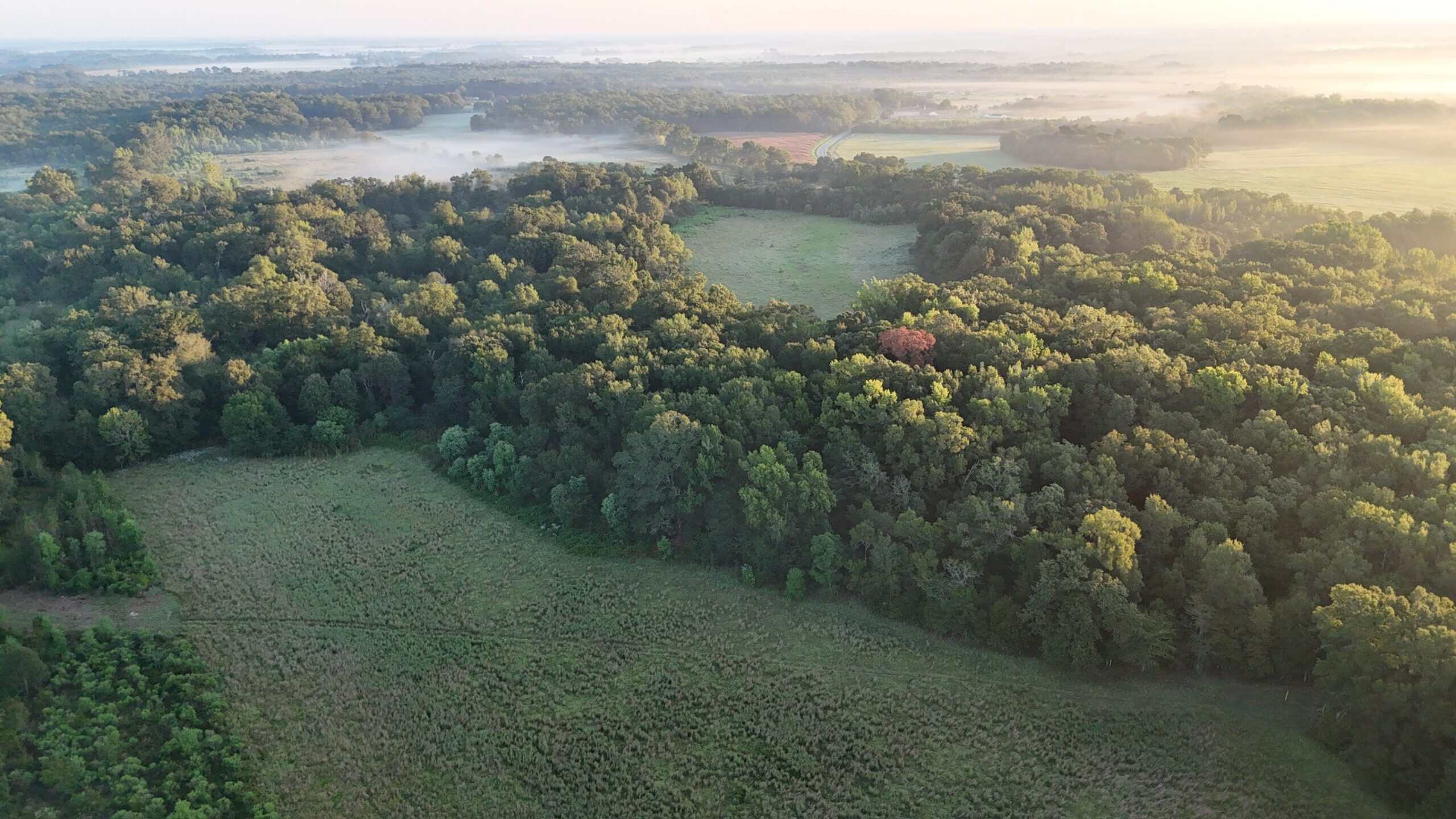 80 Ac Home, Hunting & Cattle Land in Franklin Parish LA