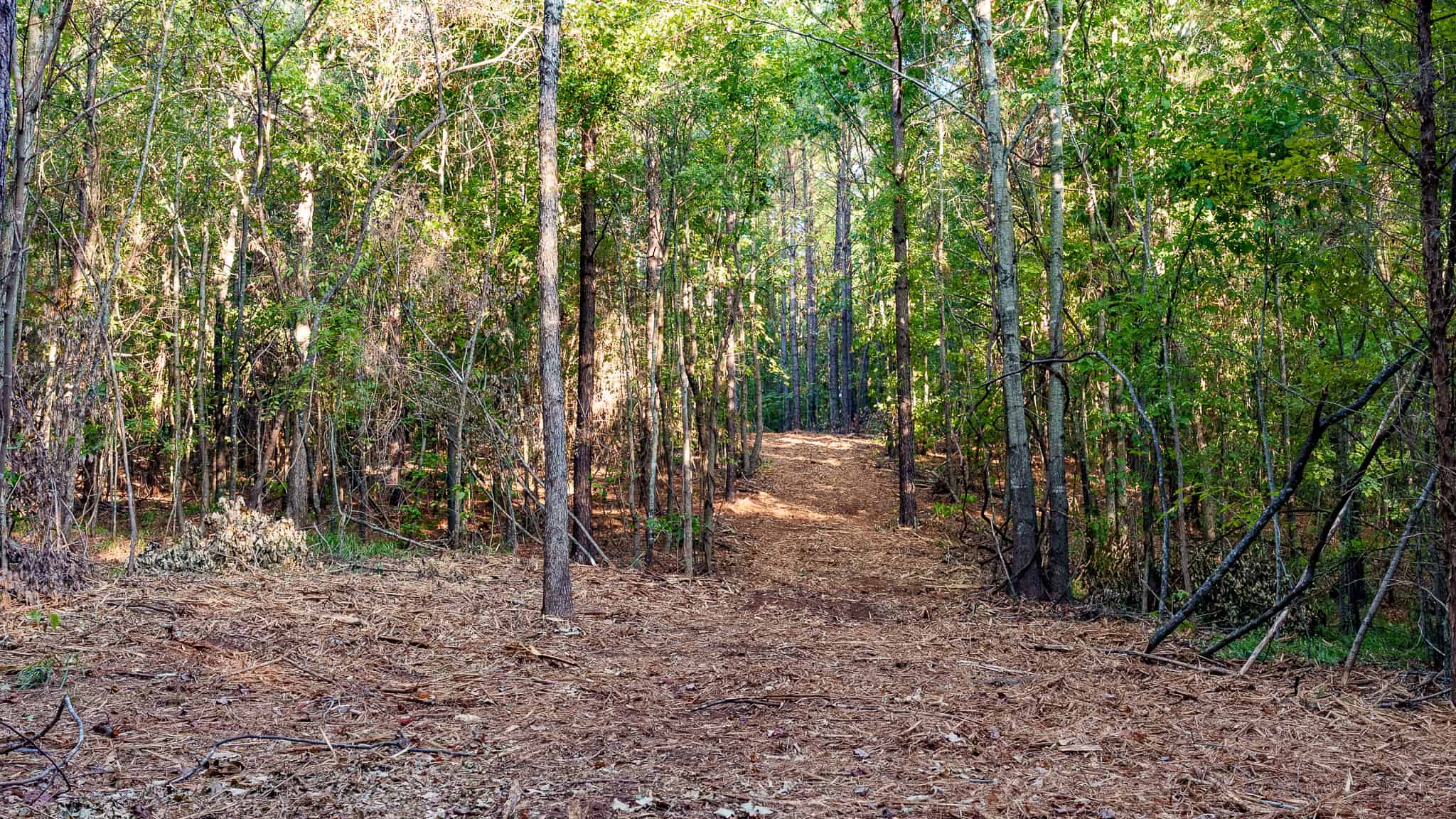 Tyler Texas Hunting Property for Sale 141 ± Acres East of Dallas