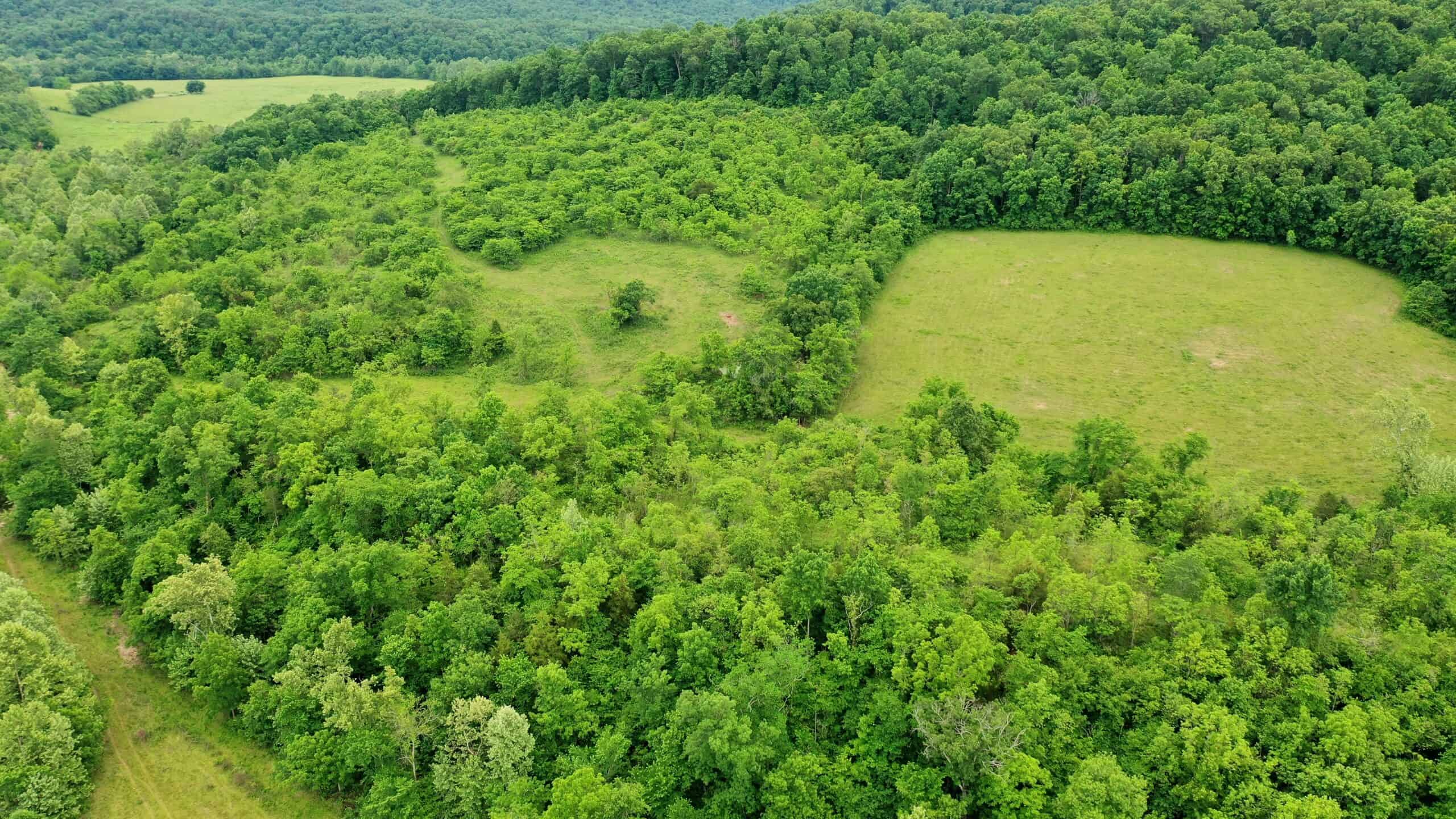 473 ± Acre Ozark Farm for Sale Near Salem, Missouri