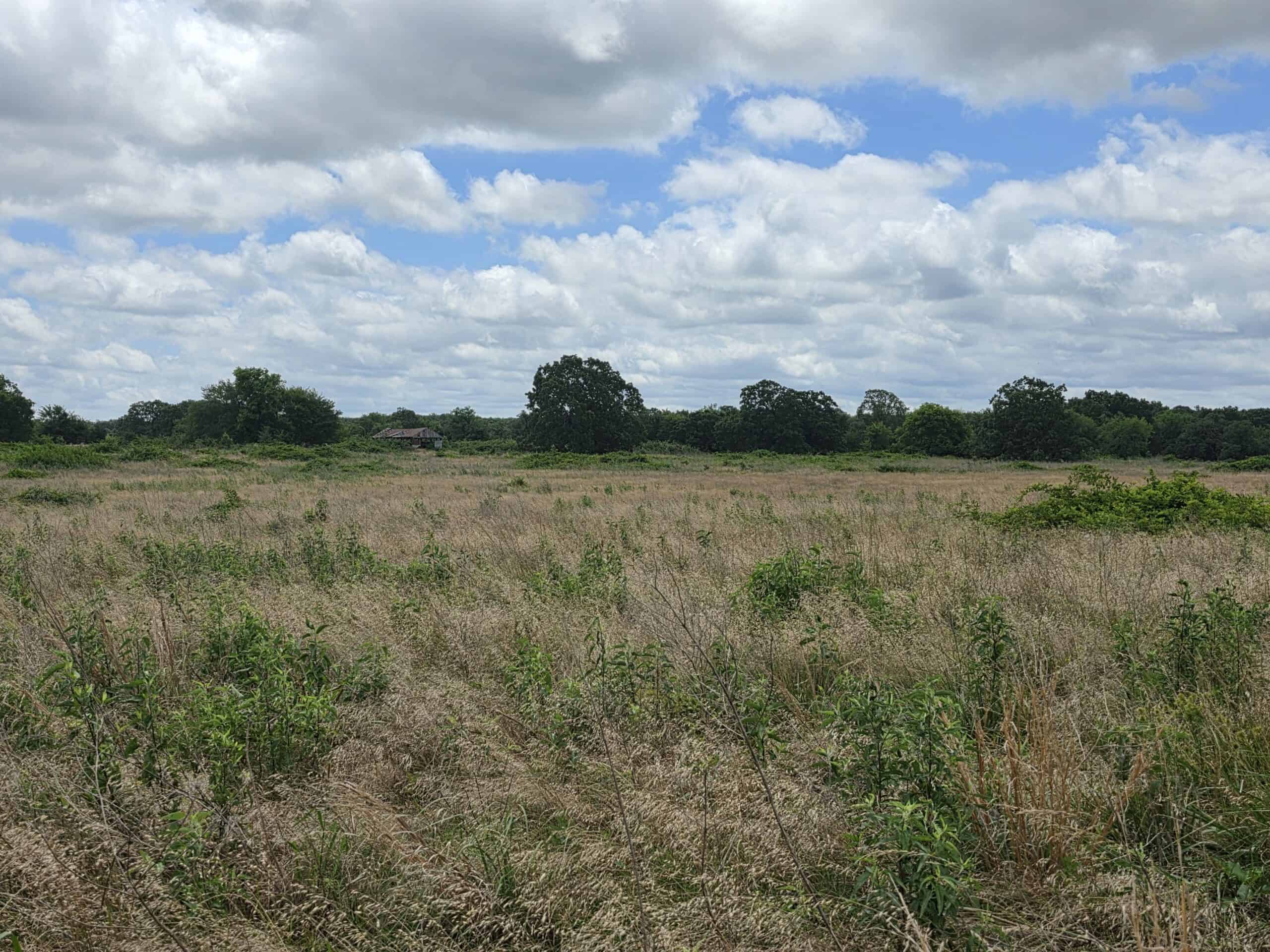 104± Acres of Whitetail Hunting, Hardwood Timber & Fishing Ponds in SE Oklahoma