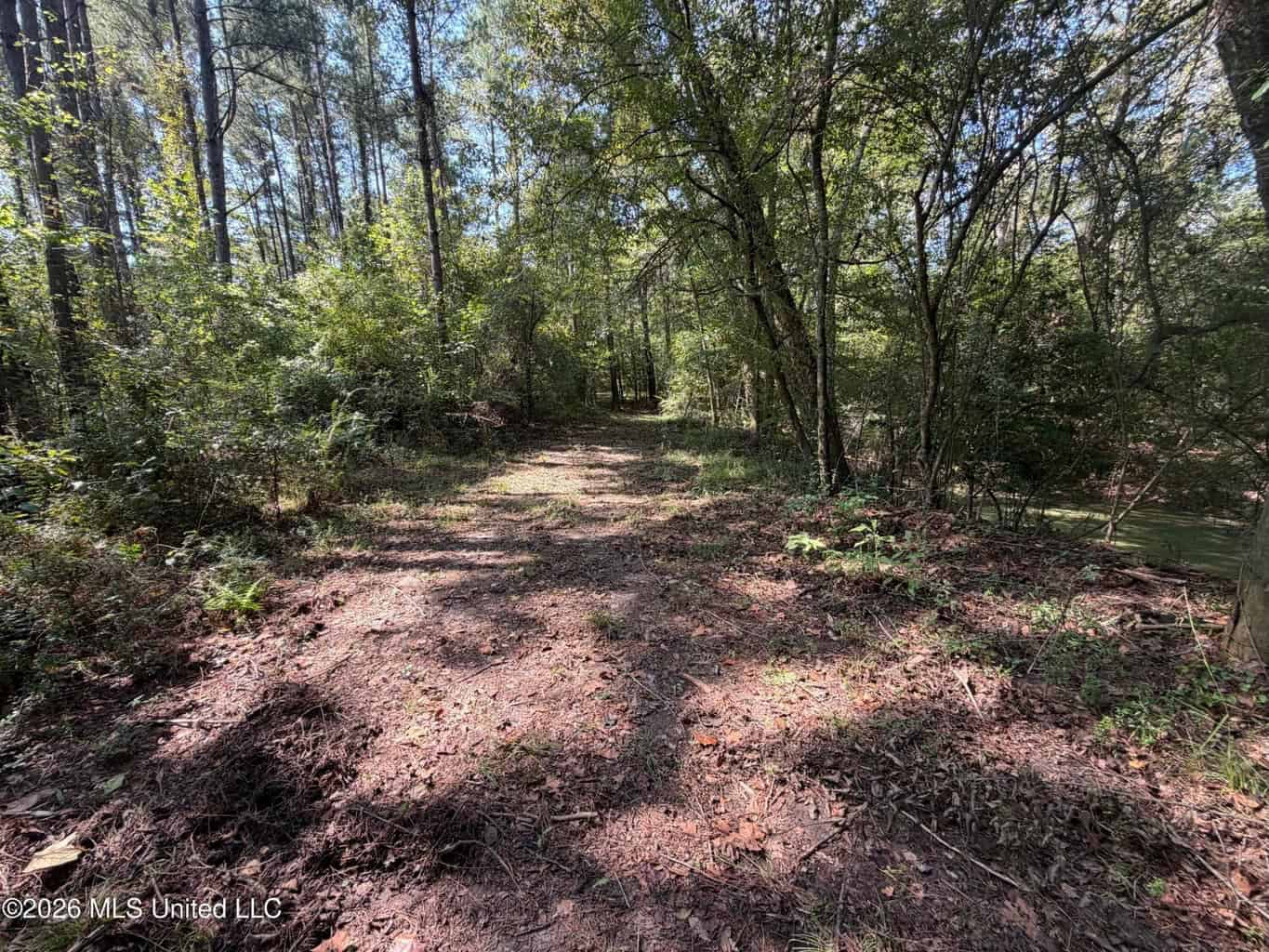 76 Acres of Hunting Land in Raleigh, MS, Smith County