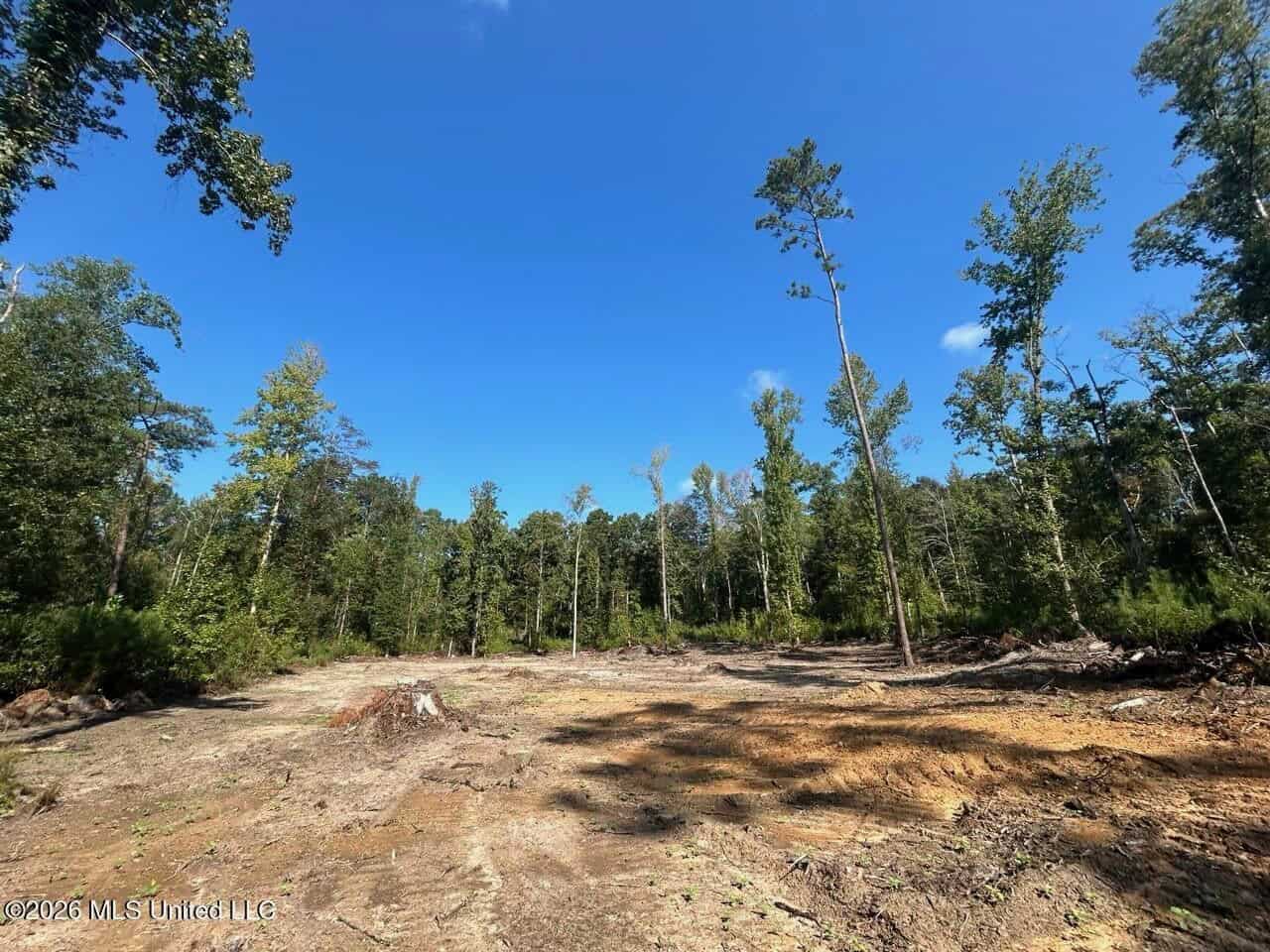 45± Acre Hunting Property in Franklin County, MS