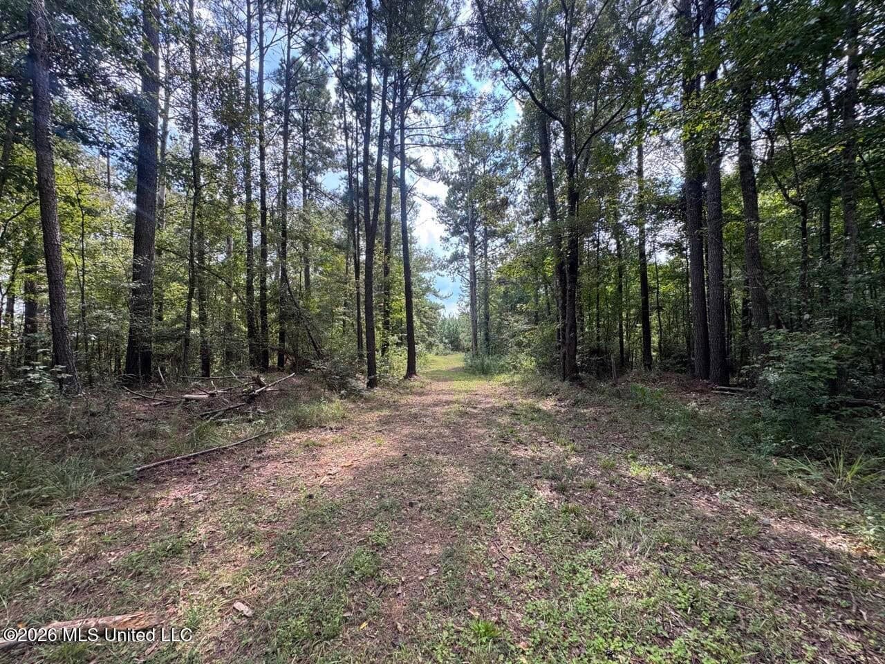 200± Acre Hunting Property in Jefferson County, MS
