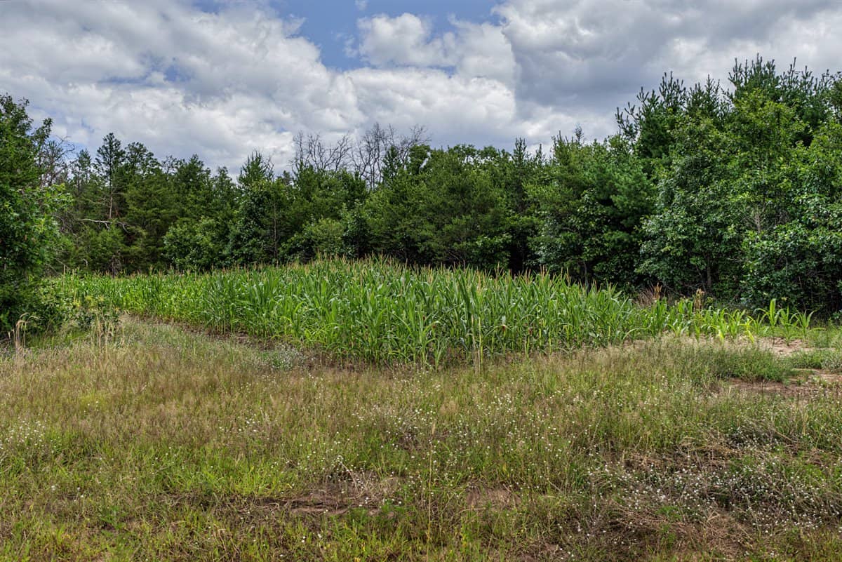 117± Acres of Irrigated Farmland and Trophy Whitetail Habitat — Adams County, Wisconsin