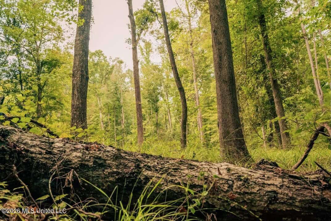 58± Acre Hunting Property in Franklin County, MS